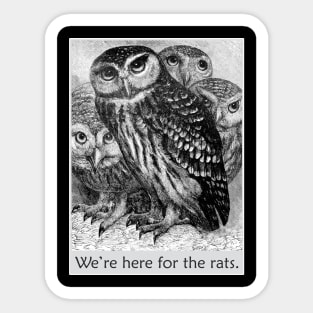 Owls - We're Here for the Rats - Wingspan Game Sticker